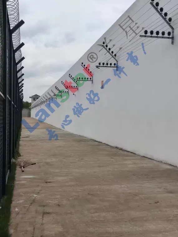 1740542005354362.jpeg 641.jpeg